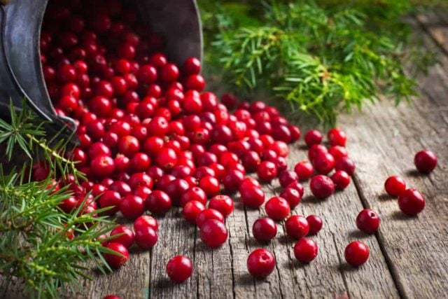 3 Manfaat Menakjubkan Buah Cranberry untuk Kesehatan Tubuh