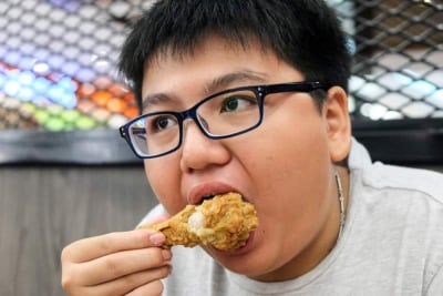 anak obesitas makan lemak