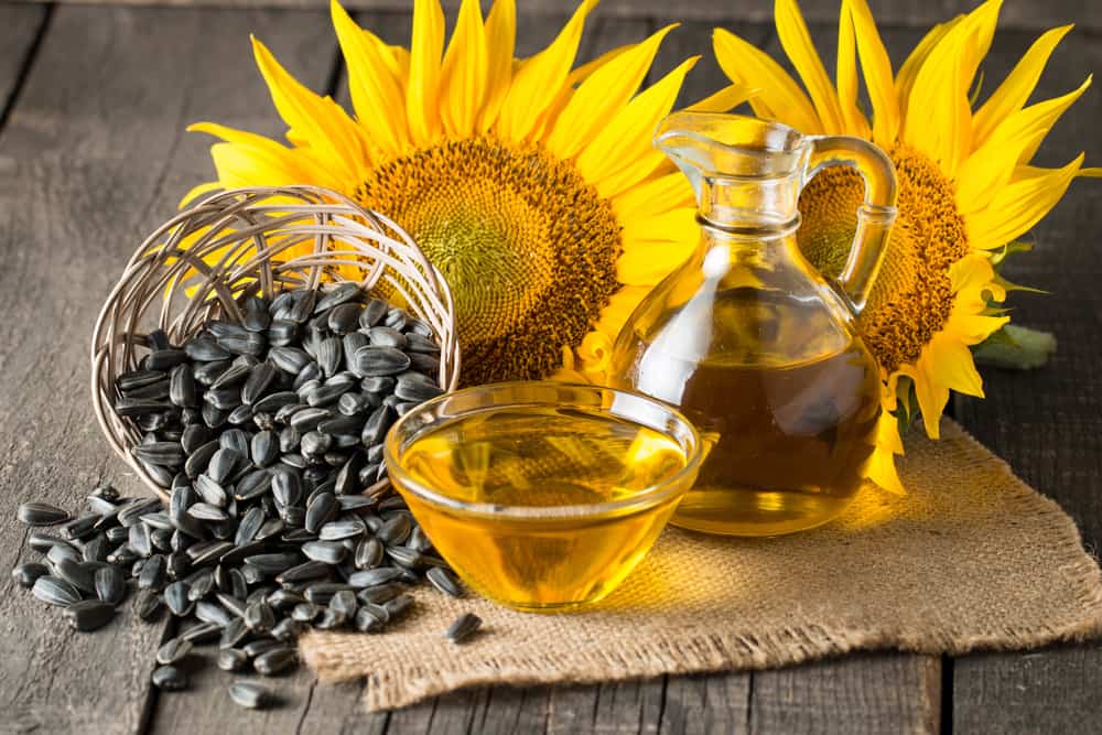 manfaat minyak biji bunga matahari untuk kulit