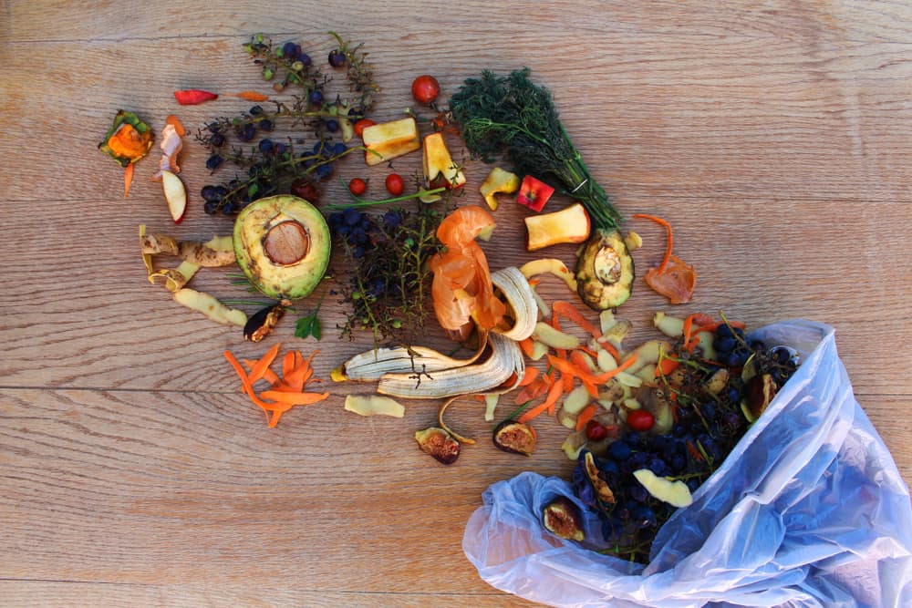 Kurangi Sampah Sisa Makanan untuk Lingkungan yang Lebih Baik dengan 4 Cara Ini