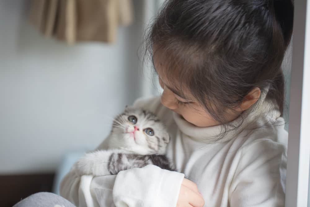 5 Penyakit Dari Kucing Yang Bisa Menular Ke Anak Anda