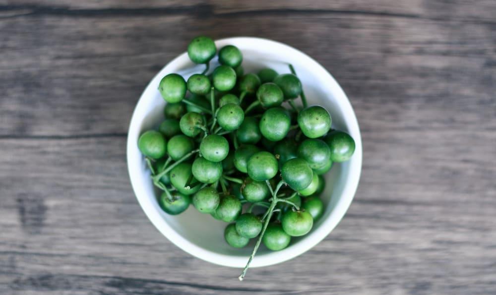 Resep Olahan Leunca yang Lezat dan Menyehatkan Tubuh