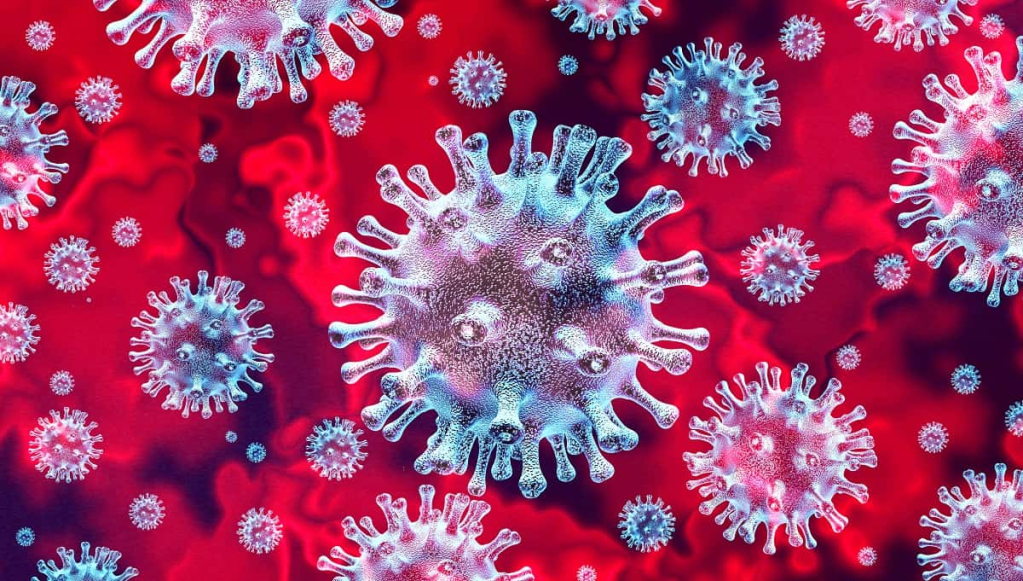 novel coronavirus 2019 adalah virus corona