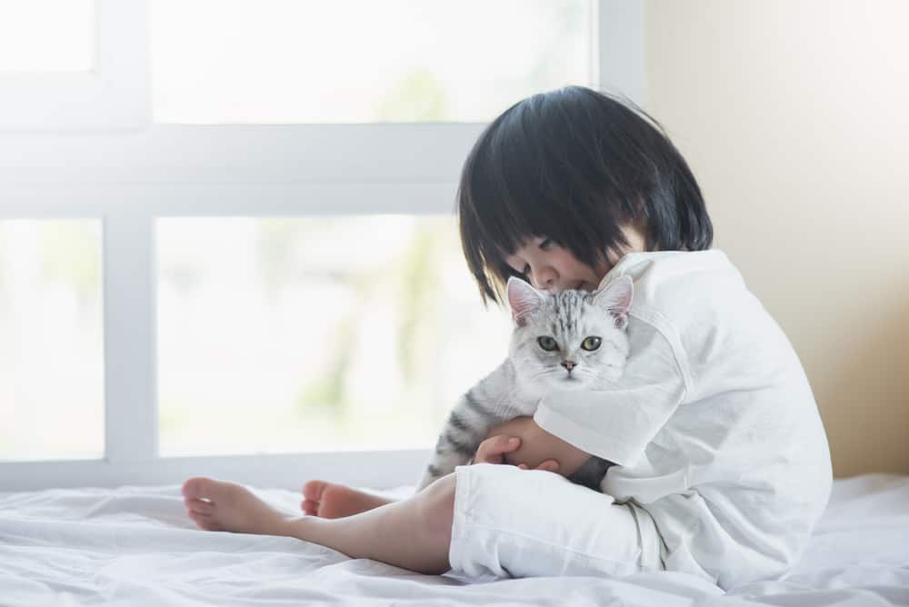 Kulit Anak Terinfeksi Setelah Dicakar Kucing; Apakah Akan Menular ke Anak Lain?