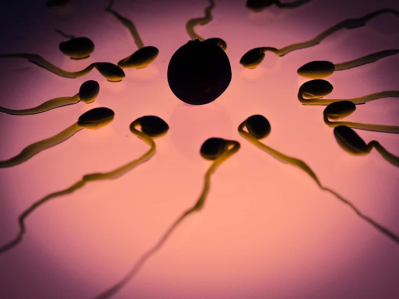 11 Cara Meningkatkan Kualitas Sperma untuk Kesuburan Pria