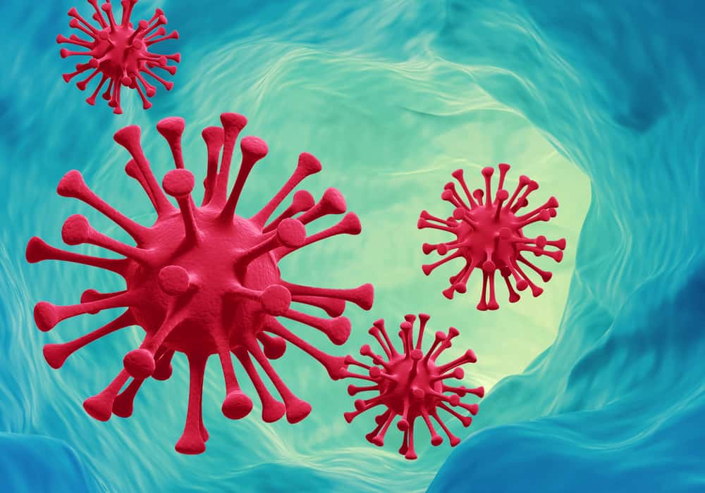 Infeksi Coronavirus dan Paramyxovirus, Apa Bedanya?