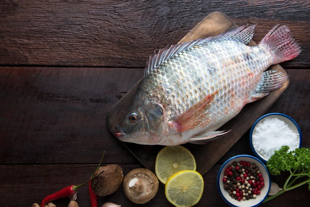Mengulas 5 Manfaat Ikan Mujair, Si Sumber Protein dan Omega-3