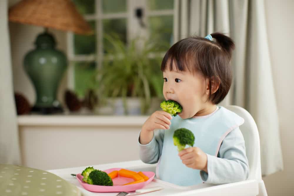 Panduan Memenuhi Kebutuhan Sayur dan Buah untuk Anak Usia 1-5 tahun