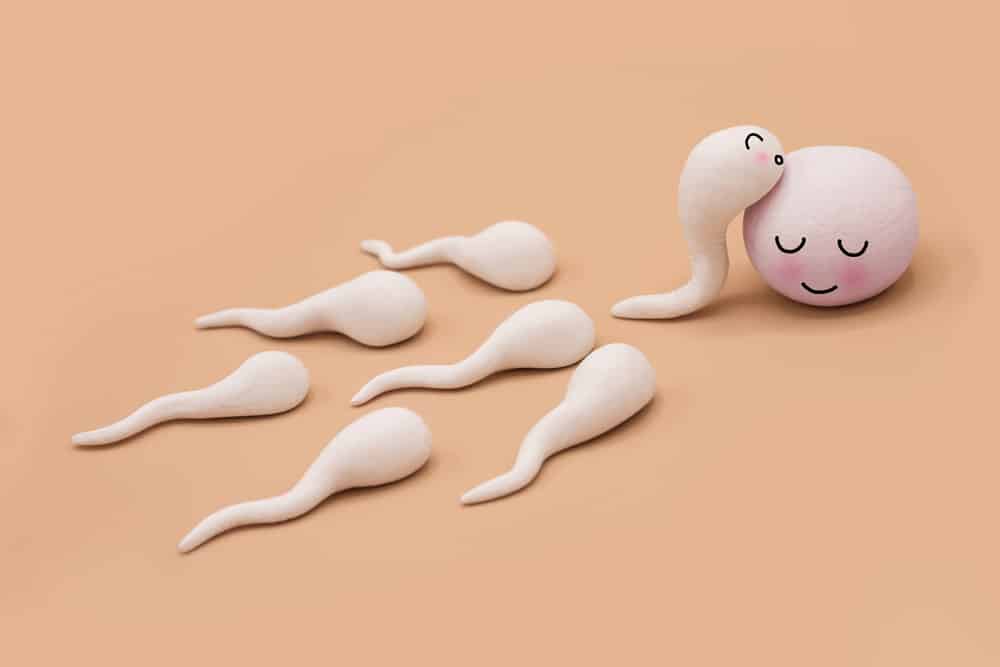 Membandingkan Kecepatan Sperma saat Dikeluarkan di Dalam Tubuh dan Air