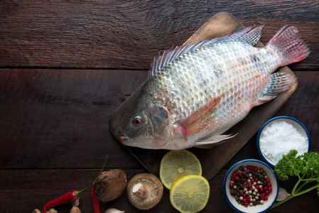 Mengulas 7 Manfaat Ikan Mujair, Sumber Protein dan Omega-3