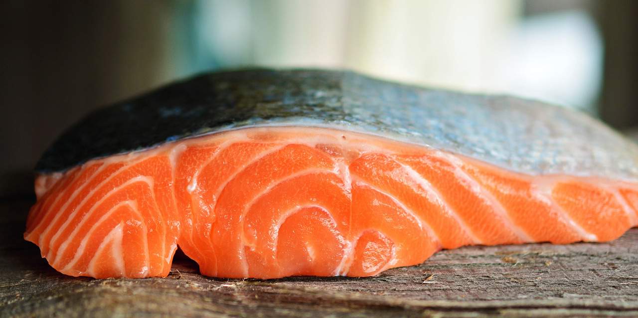 Mengulik Berbagai Kandungan dari Salmon Mentai Shirataki
