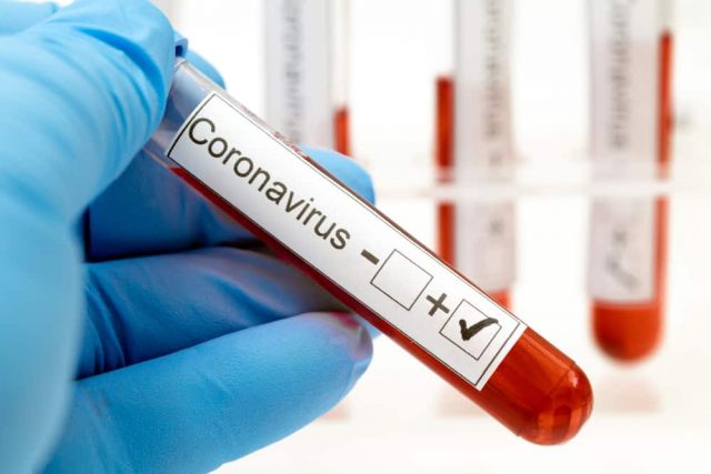 coronavirus adalah