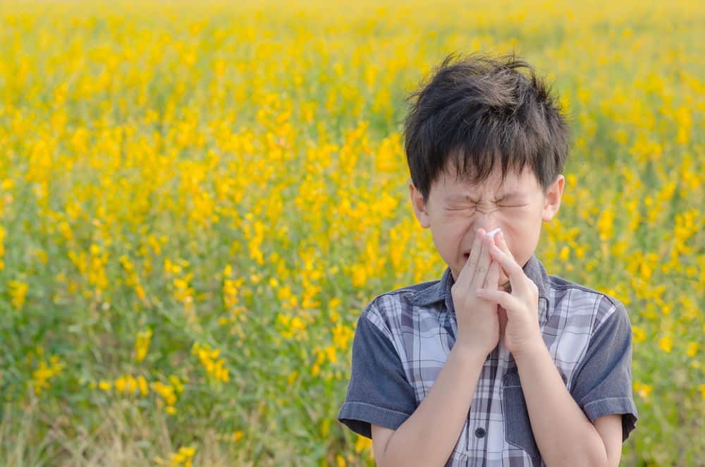 pemicu alergi anak