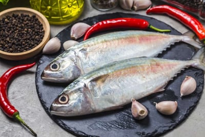 gambar ikan kembung, sajian ikan yang kaya akan omega-3 dan nutrisi