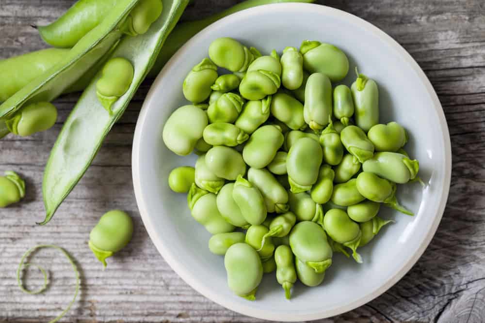 Berbagai Manfaat Kacang Fava untuk Kesehatan Tubuh