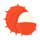 Minggu 12