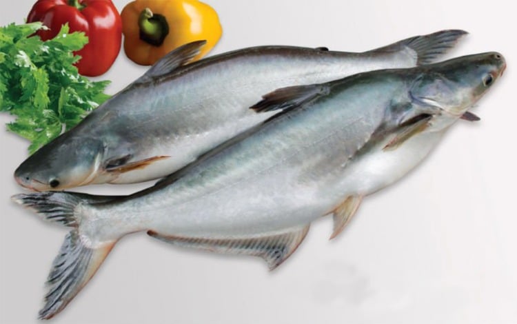 manfaat ikan patin dori resep