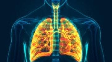 Waspada Komplikasi Akibat Penyakit Paru Obstruktif Kronis