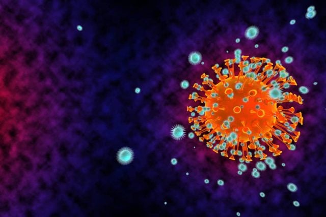 virus corona ditemukan di sperma