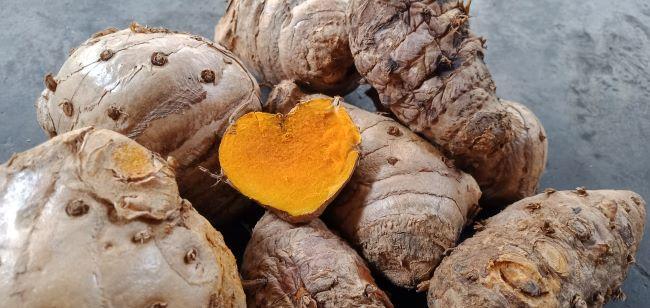 11 Manfaat Temulawak sebagai Obat Alami bagi Tubuh