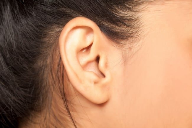 Berbagai Penyakit pada Telinga yang Paling Sering Terjadi