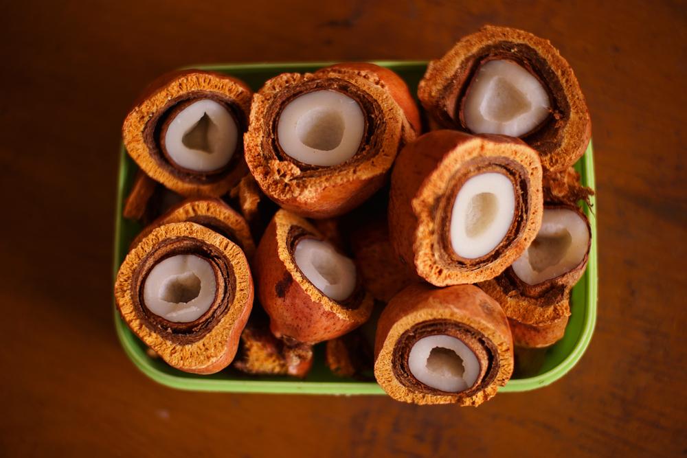 6 Manfaat Kesehatan dari Buah Zuriat