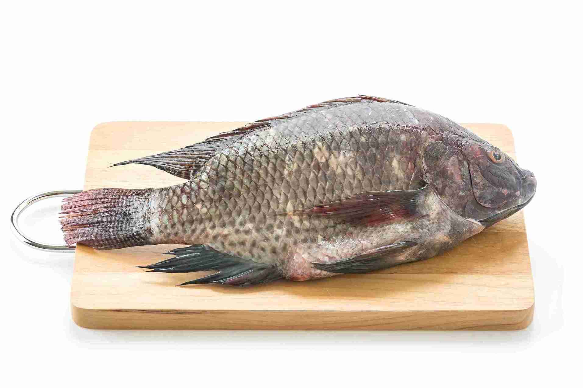 8 Manfaat yang Bisa Didapatkan dari Konsumsi Ikan Gurame