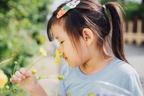 Aktivitas Smell Sensory Play, Latih Si Kecil Bermain Sambil Belajar