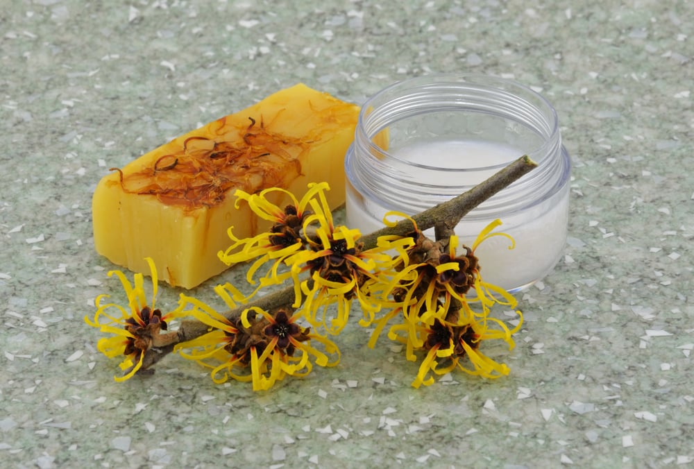 Manfaat Witch Hazel Terhadap Kesehatan Kulit