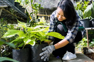 Berkebun cara membakar kalori