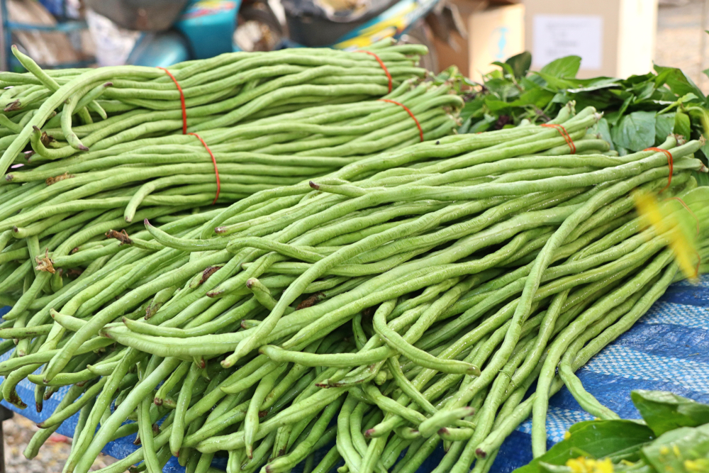 4 Manfaat Kacang Panjang untuk Para Diabetesi