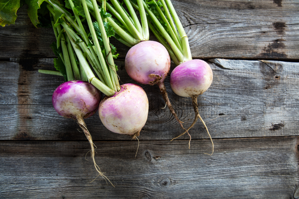 Mengenal Turnip Termasuk Kandungan Nutrisi dan Manfaat