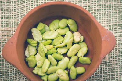 manfaat kacang lima atau lima beans