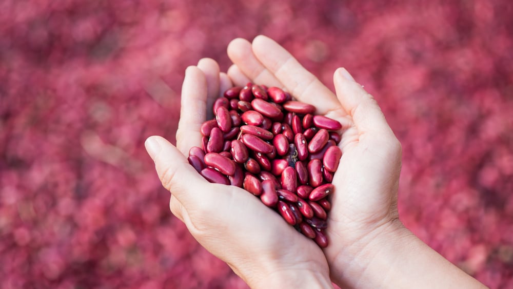Manfaat kacang merah untuk ibu hamil