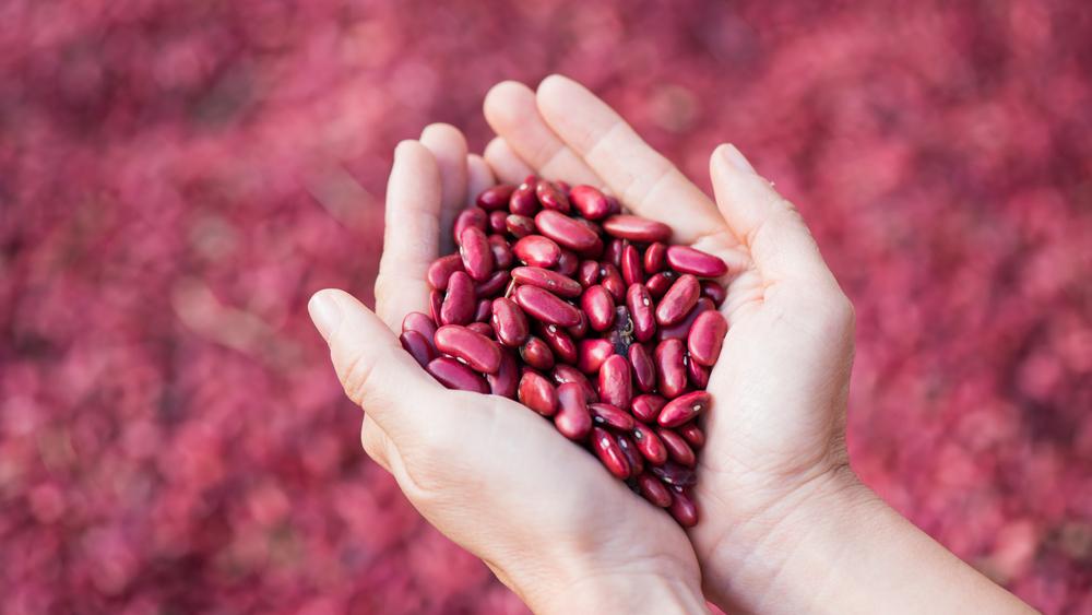 6 Manfaat Kacang Merah untuk Ibu Hamil Selain Menjaga Kesehatan Tulang