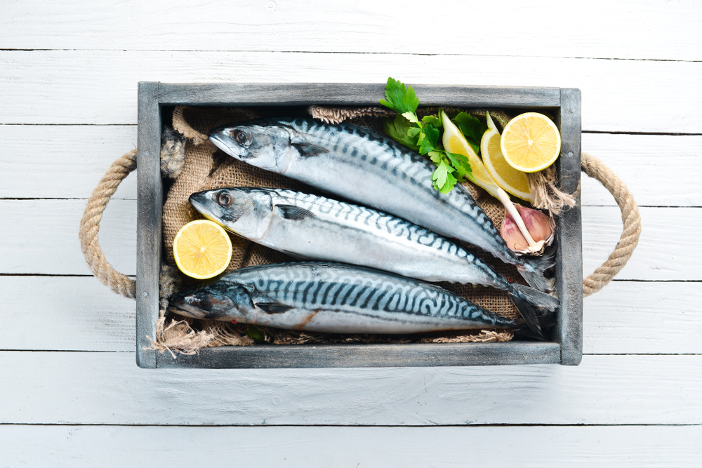 Sejumlah Manfaat Ikan Makarel untuk Kesehatan Tubuh