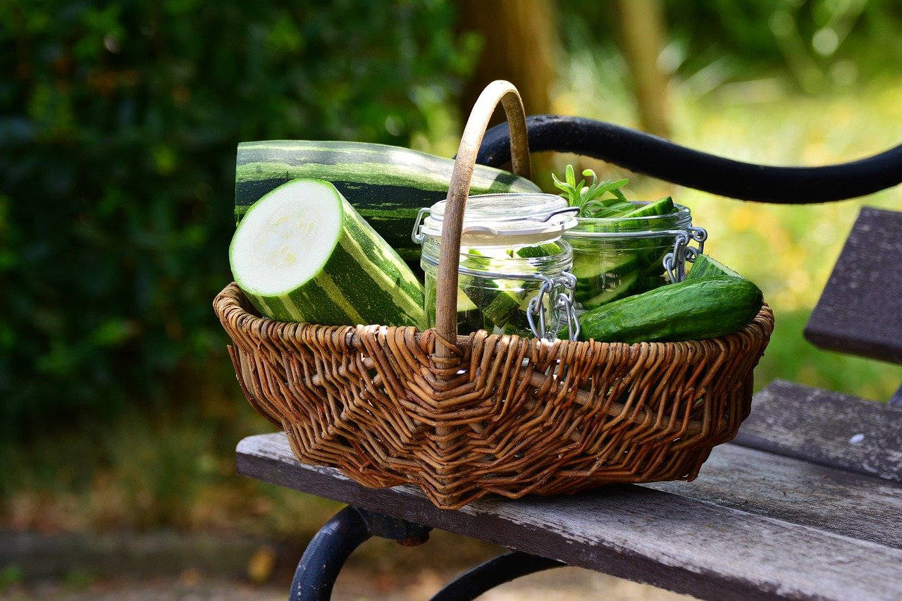 5 Khasiat Utama Zucchini yang Mirip Timun