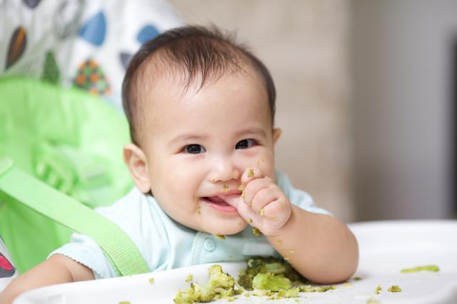 7 Resep MPASI Daging Sapi untuk Bayi 612 Bulan Hello Sehat