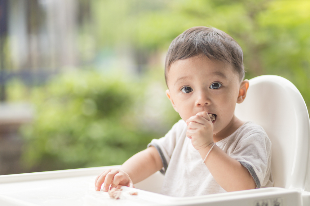 Kaya Nutrisi, Ini 6 Manfaat Ikan Lele untuk Kesehatan Bayi yang Sayang Dilewatkan