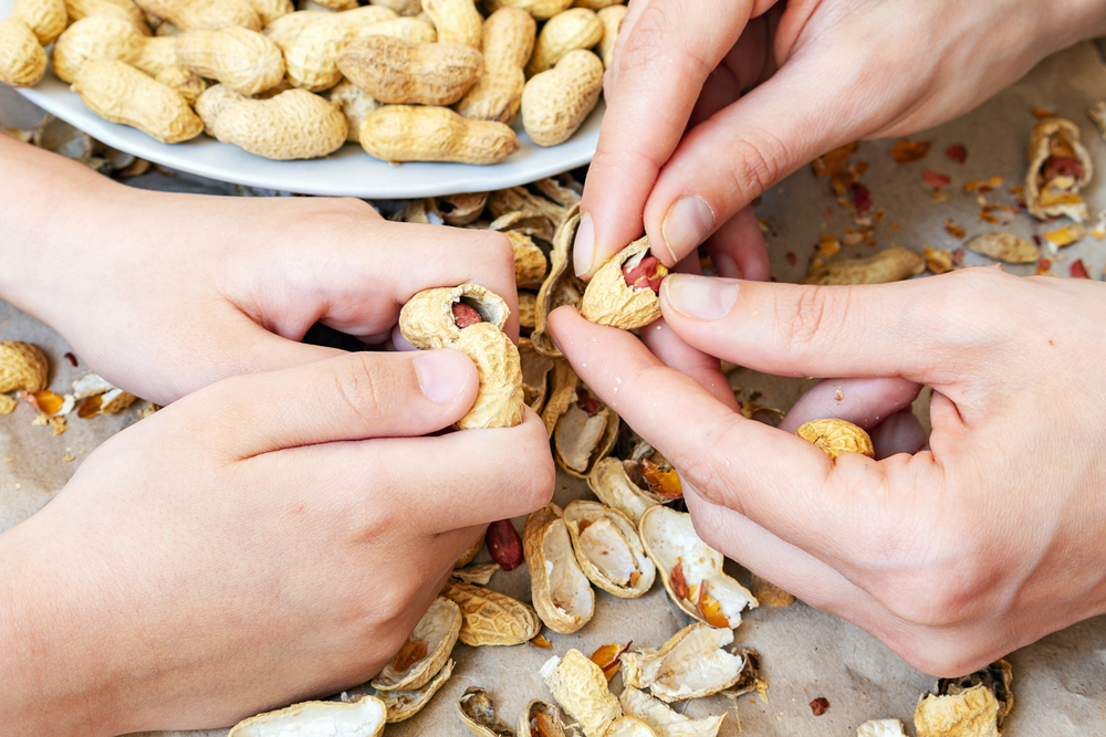 3 Manfaat Kacang Tanah untuk Penyandang Diabetes