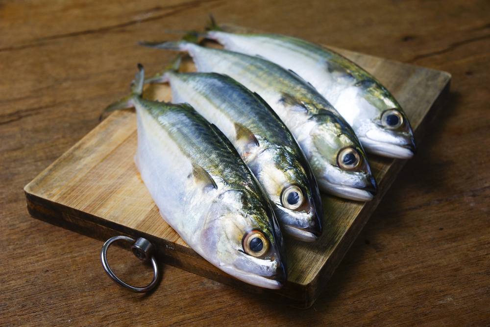 10 Manfaat Ikan Kembung untuk Ibu Hamil dan Janin