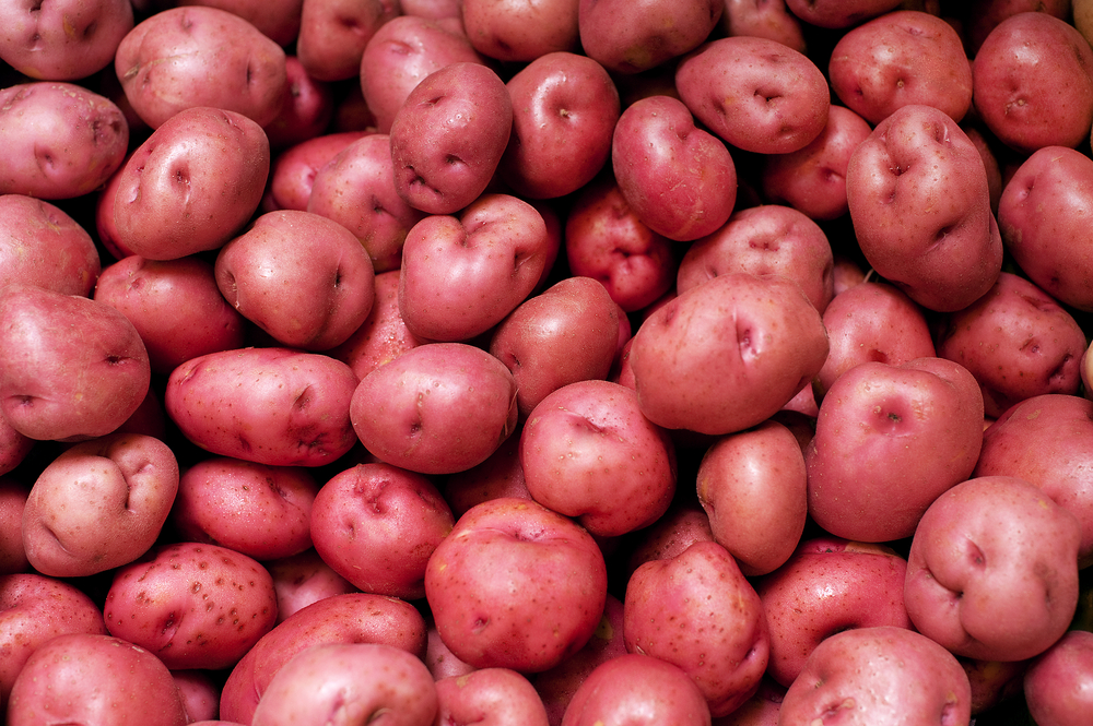 kentang-merah