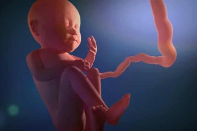 10 Aktivitas Janin dalam Kandungan yang Menakjubkan