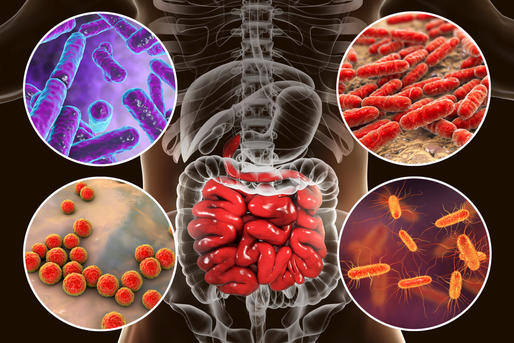 Apa Itu Mikrobiota Usus? Kenali Peran Pentingnya untuk Tubuh