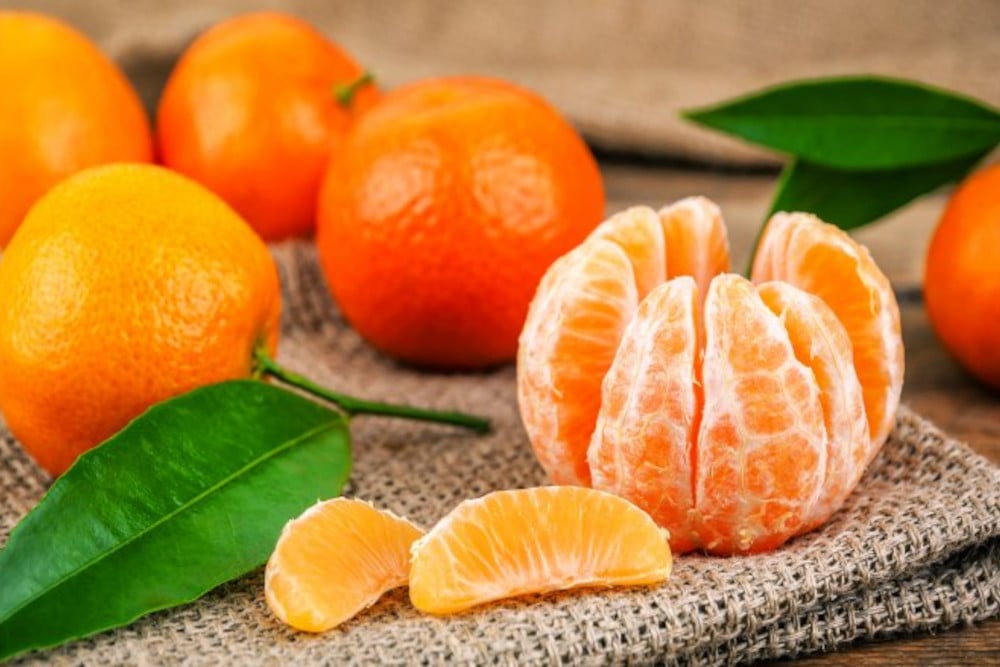 manfaat jeruk tangerine buah untuk promil suami istri