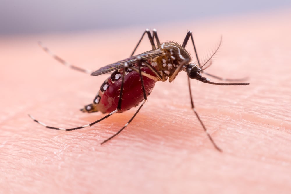 malaria selama pandemi