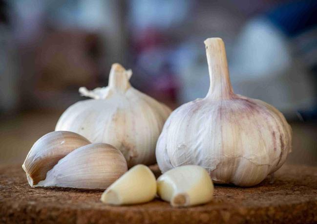 Apakah Bisa Mengobati Kencing Nanah dengan Bawang Putih?