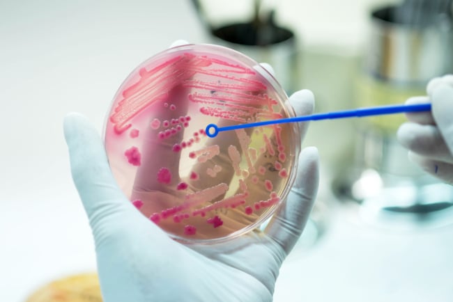 Hati-Hati Bahaya Resistensi Antimikroba pada Tubuh Anda!