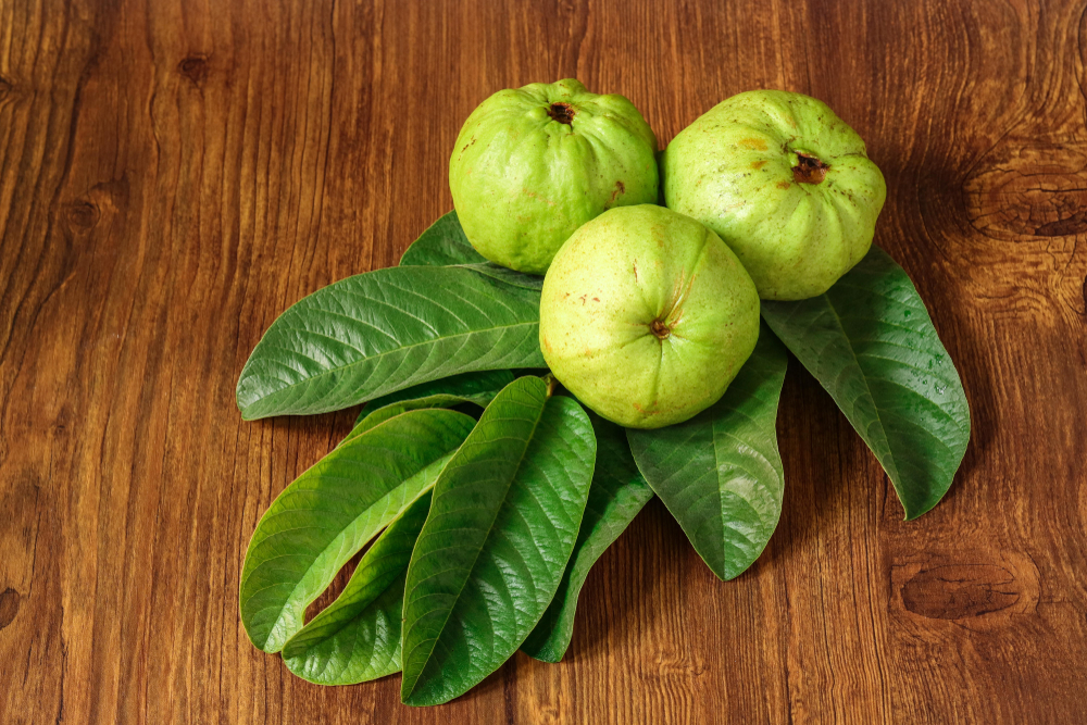 Mengenal 5 Manfaat Daun Jambu Biji untuk Rambut