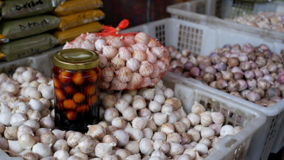 khasiat bawang putih tunggal